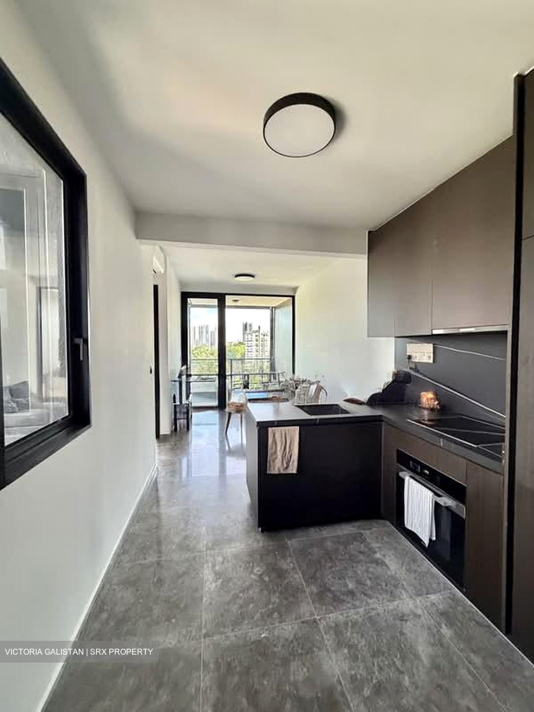 Hyll On Holland (D10), Condominium #547290271